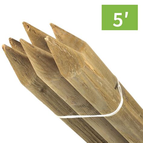 oak wooden stakes.